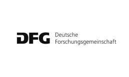 Logo DFG